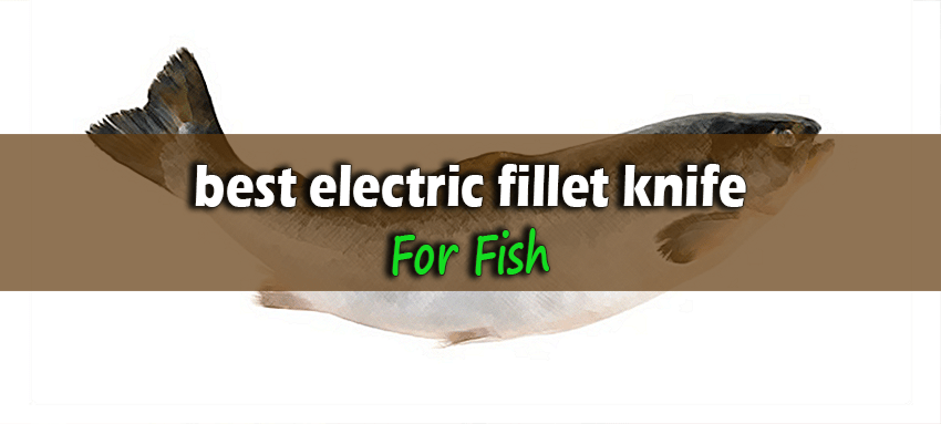 Best-Electric-Fillet-Knife